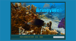 Desktop Screenshot of brineyweb.com