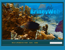 Tablet Screenshot of brineyweb.com